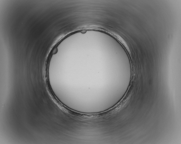 X0000115120997200911241343