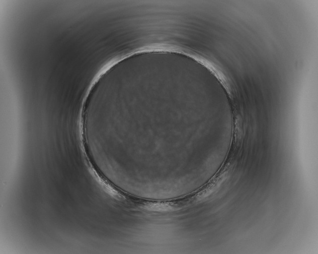 X0000115120998200911241343