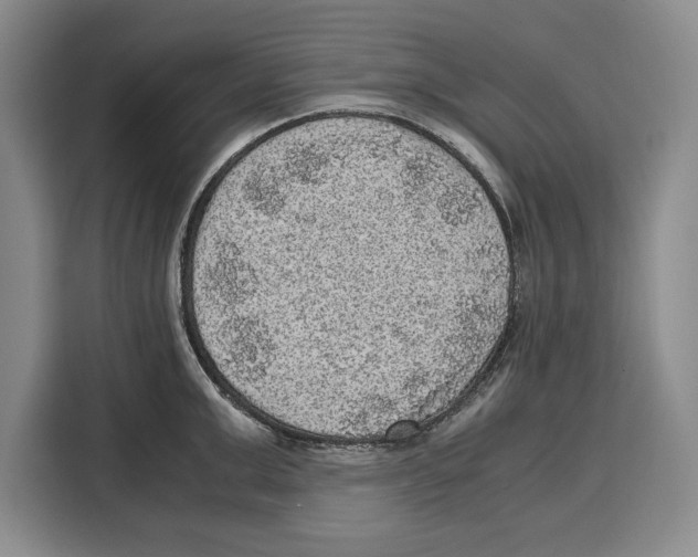 X0000115120999200911241343