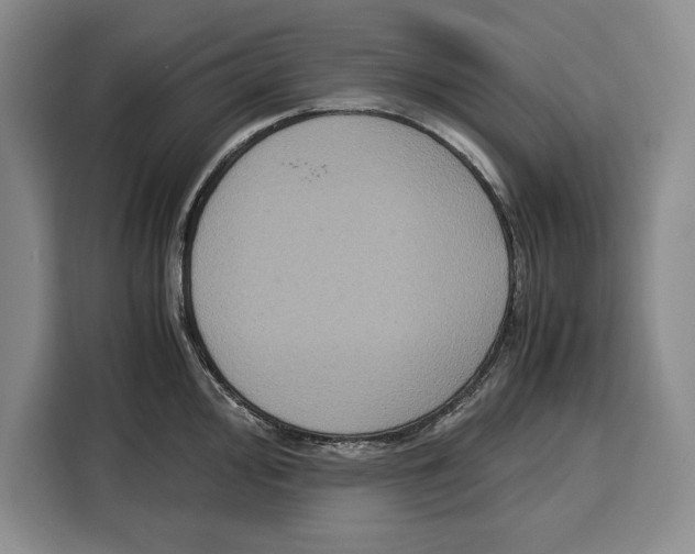 X0000115121000200911241343