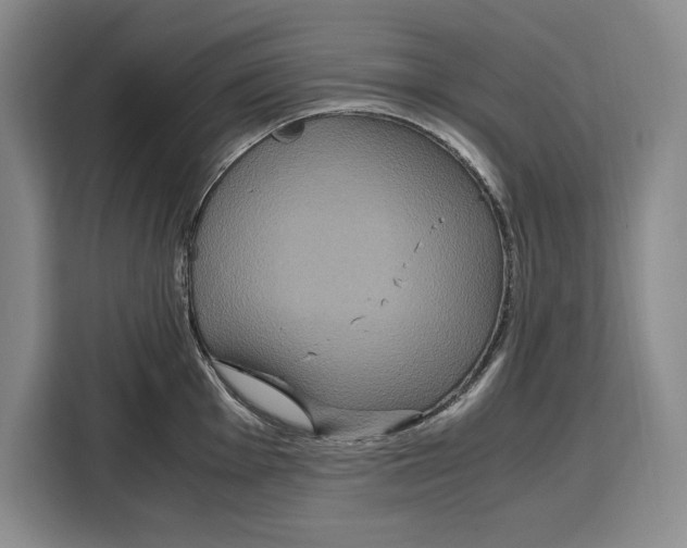 X0000115121001200911241343