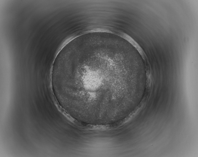 X0000115121002200911241343