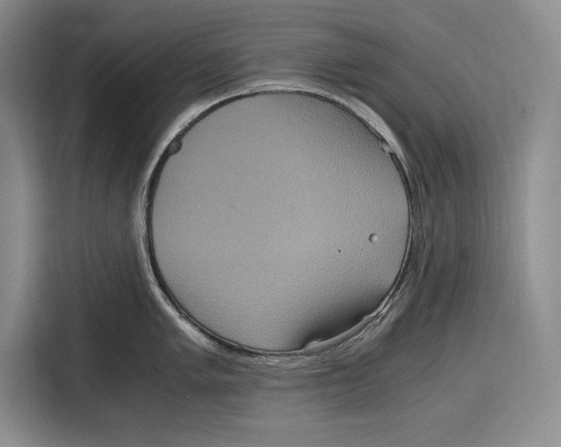X0000115121005200911241343