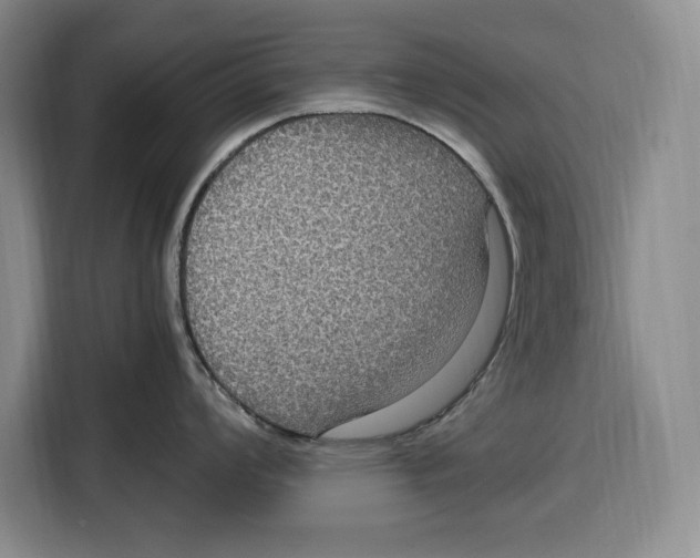 X0000115121008200911241343