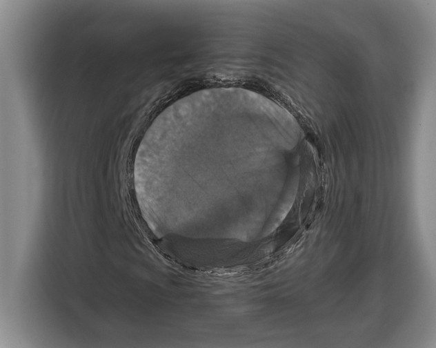 X0000115121009200911241343