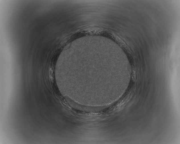 X0000115121010200911241343