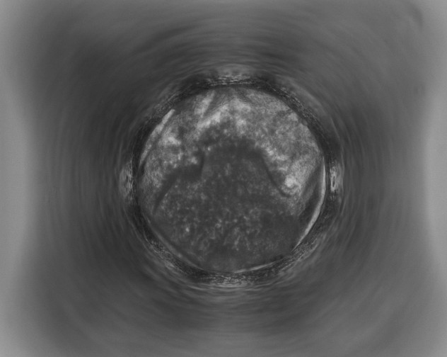 X0000115121011200911241343