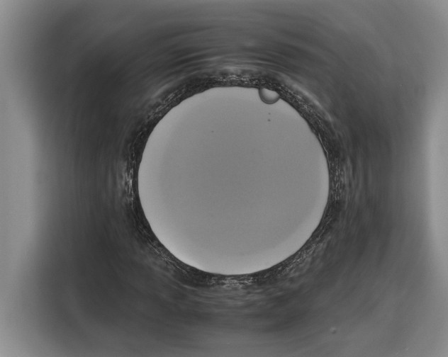 X0000115121013200911241343