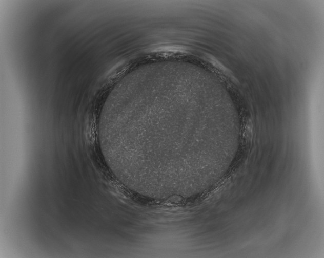 X0000115121014200911241343