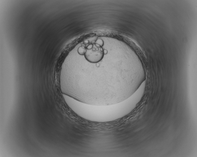 X0000115121016200911241343