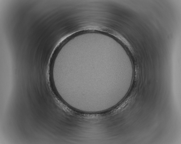 X0000115121020200911241343