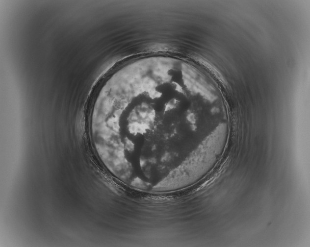 X0000115121023200911241343