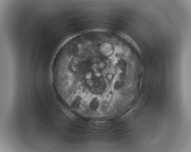 X0000115121027200911241343