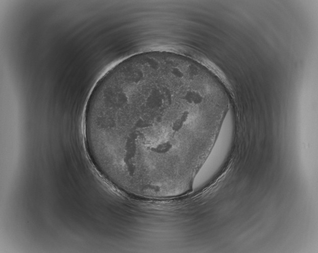 X0000115121028200911241343