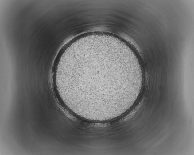 X0000115121029200911241343