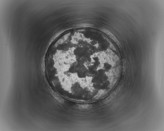 X0000115121031200911241343