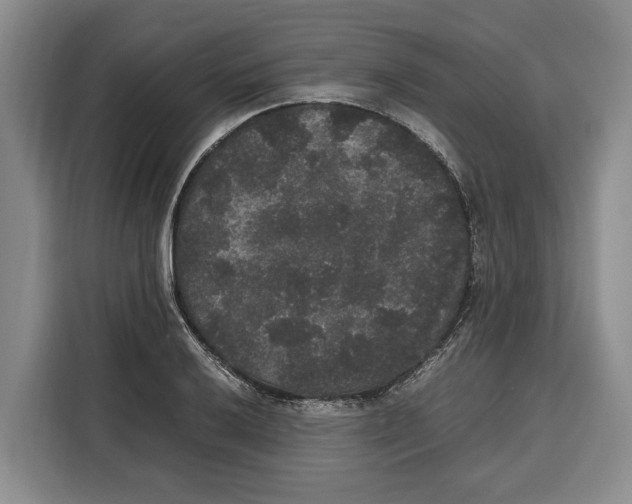X0000115121032200911241343