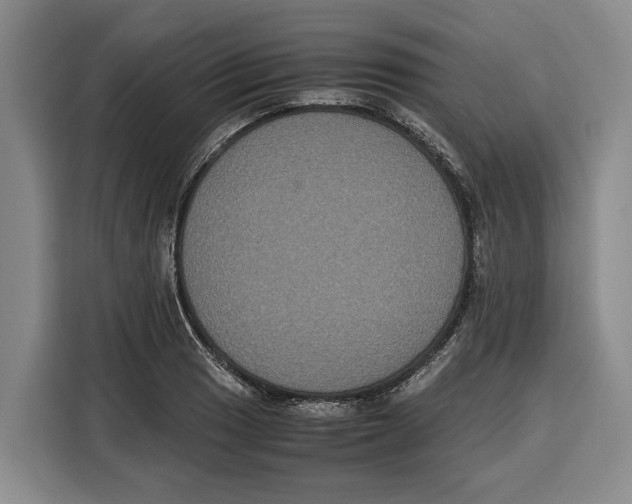 X0000115121033200911241343