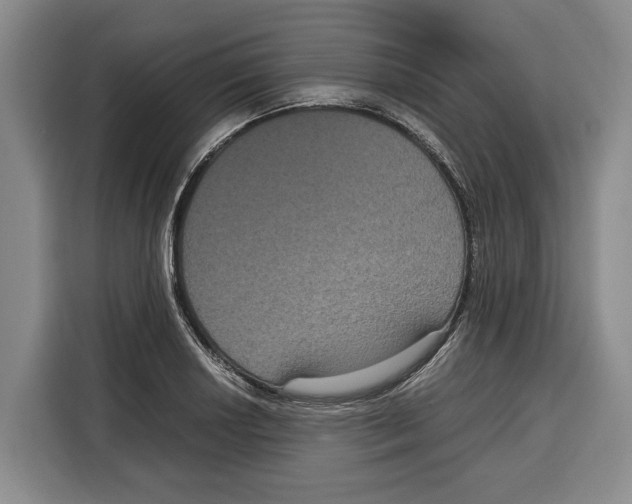 X0000115121034200911241343