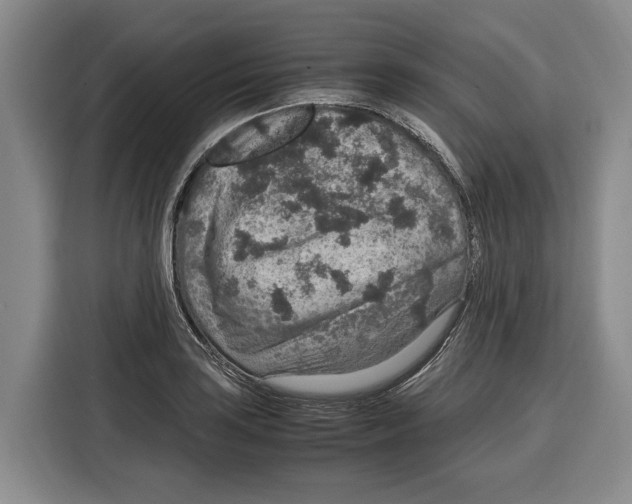 X0000115121035200911241343