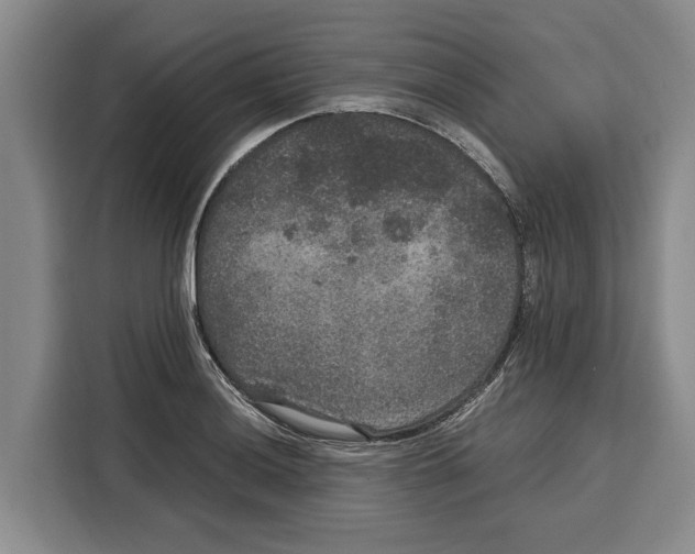 X0000115121036200911241343