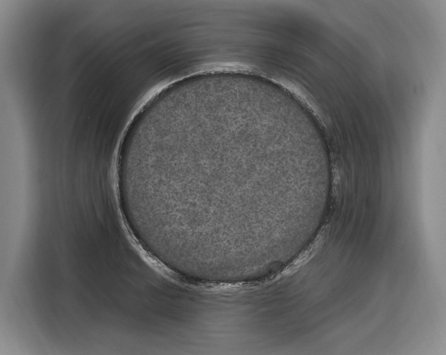 X0000115121038200911241343