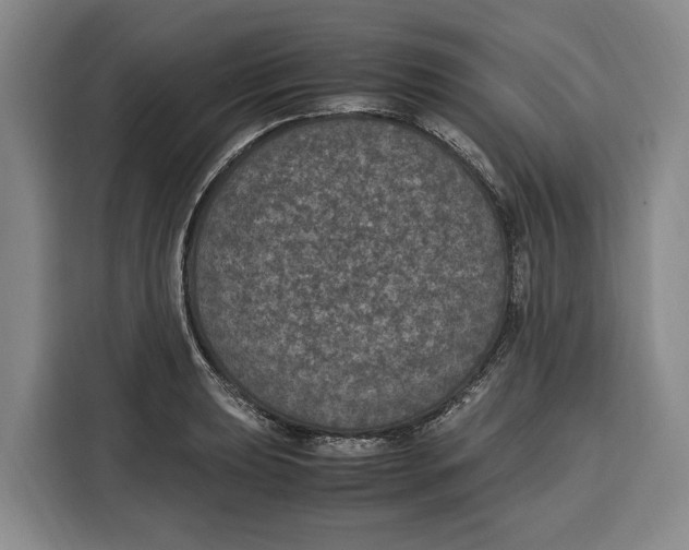 X0000115121039200911241343