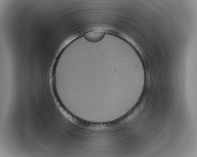 X0000115121042200911241343