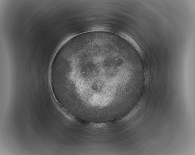 X0000115121043200911241343