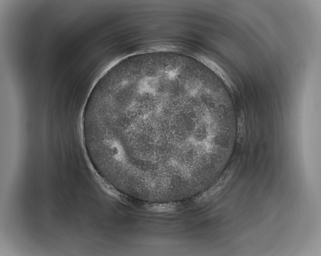X0000115121047200911241343