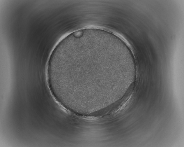 X0000115121048200911241343