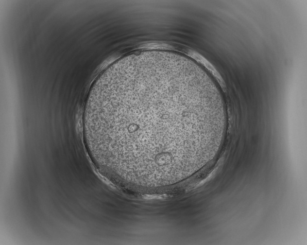 X0000115121049200911241343