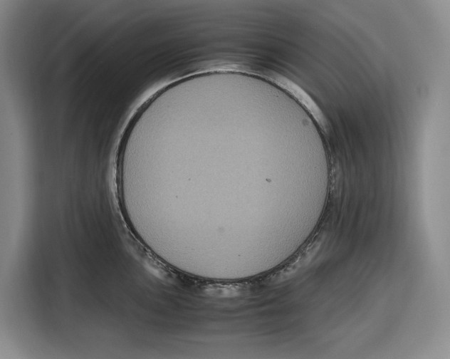 X0000115121051200911241343