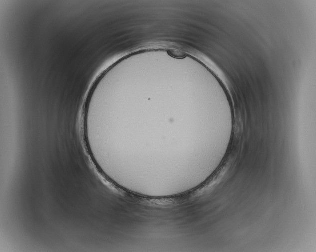 X0000115121053200911241343