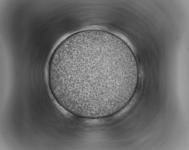 X0000115121054200911241343