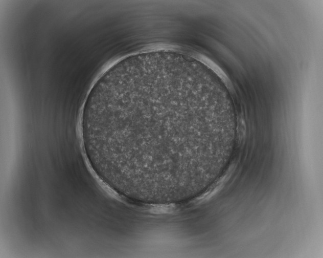 X0000115121055200911241343