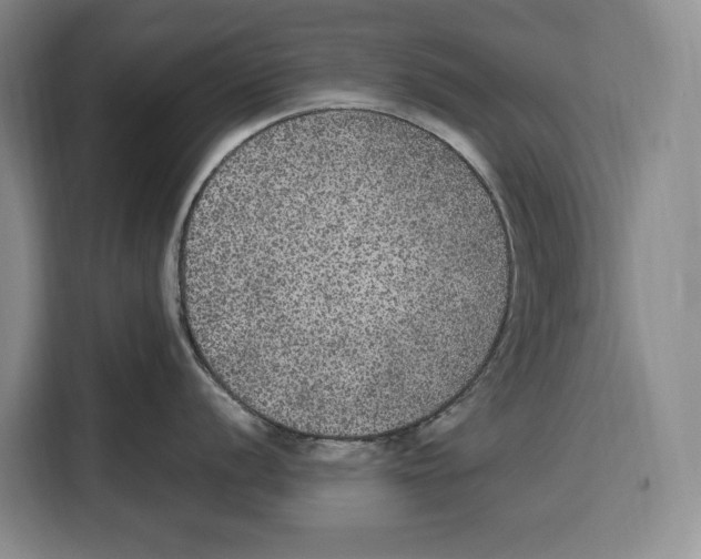 X0000115121056200911241343