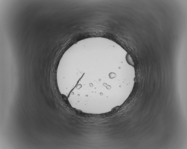 X0000115121057200911241343