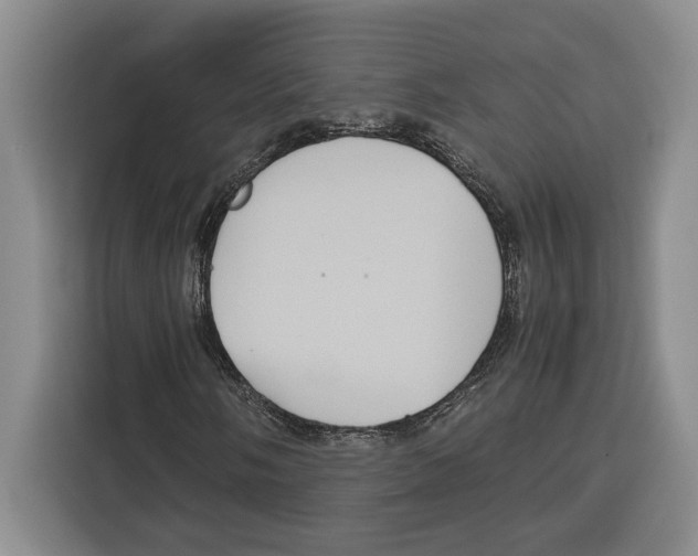 X0000115121058200911241343