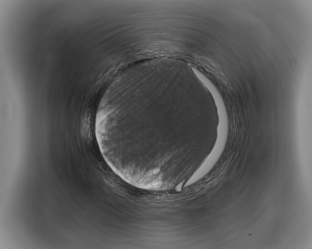X0000115121060200911241343