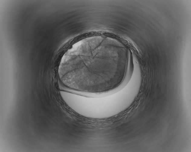 X0000115121064200911241343