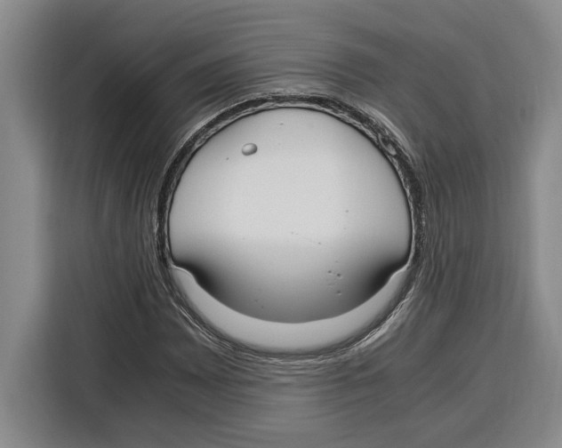 X0000115121065200911241343