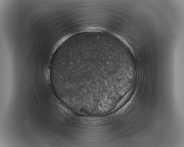 X0000115121066200911241343