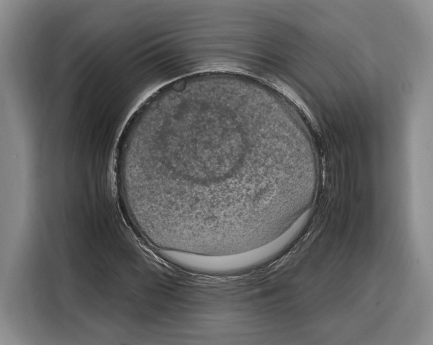 X0000115121068200911241343