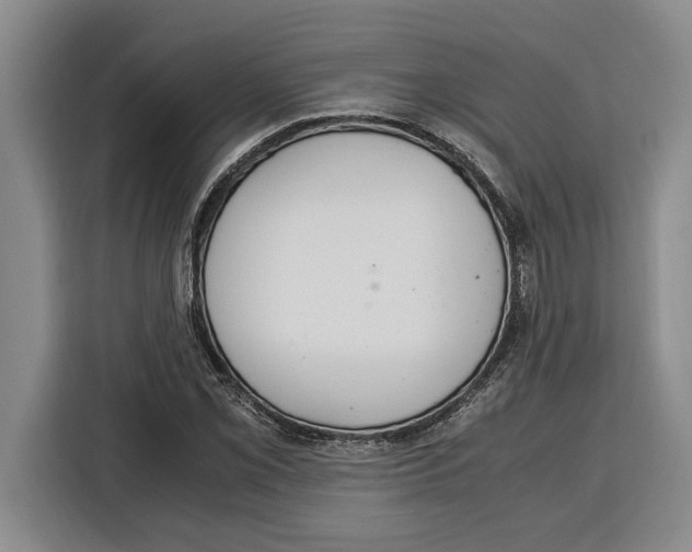 X0000115121069200911241343