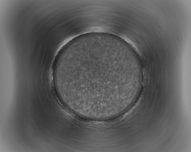 X0000115121070200911241343