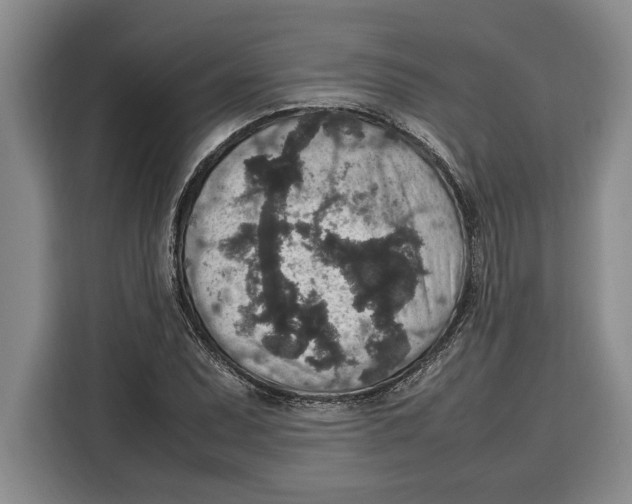 X0000115121071200911241342