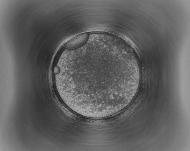 X0000115121072200911241342