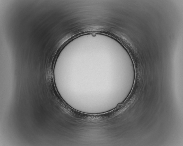 X0000115121073200911241342