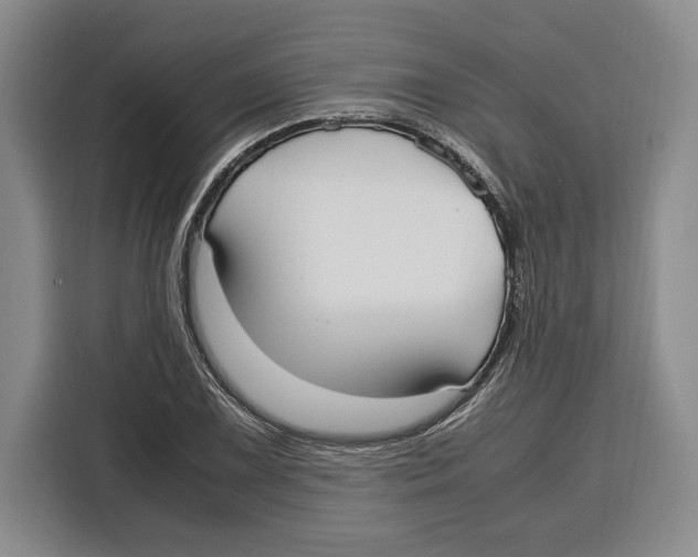 X0000115121075200911241342